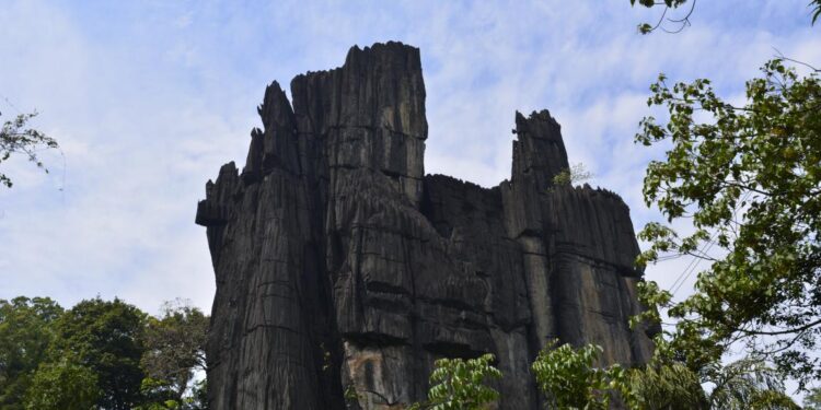 Karnataka Tourism to Exhibit its Diverse Tourism Splendours at TTF Ahmedabad 2023